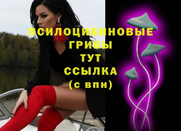 герыч Арсеньев