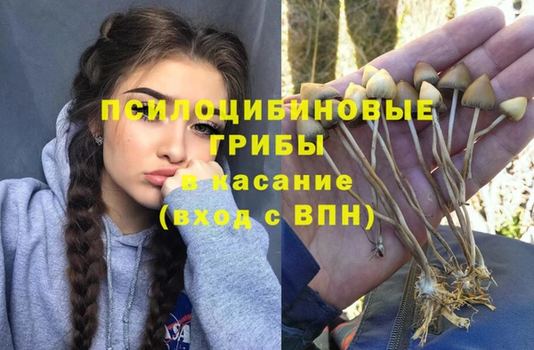 герыч Арсеньев