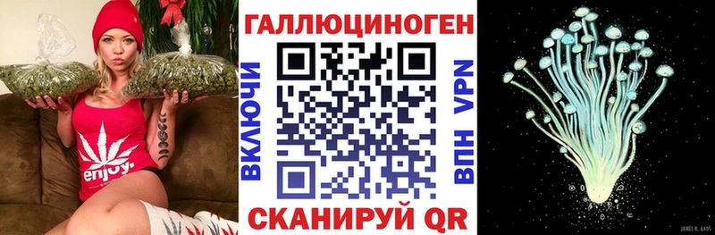 купить наркотики цена  Гороховец  blacksprut зеркало  Галлюциногенные грибы мицелий 
